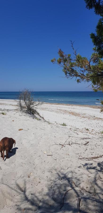 B&B Cocò Olbia Ngoại thất bức ảnh